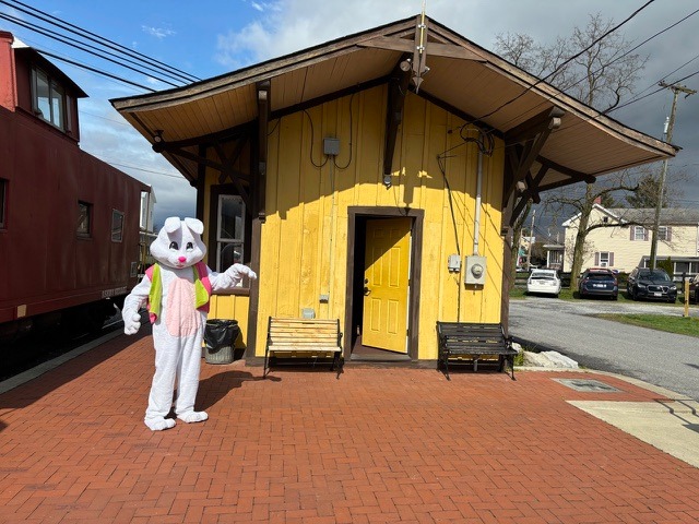 Bunny Train