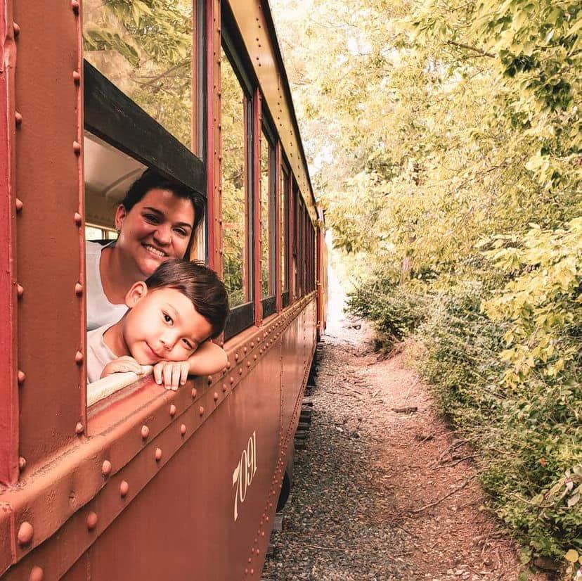 mother and son on train